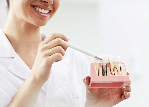 Dentist demonstrating on teeth model.